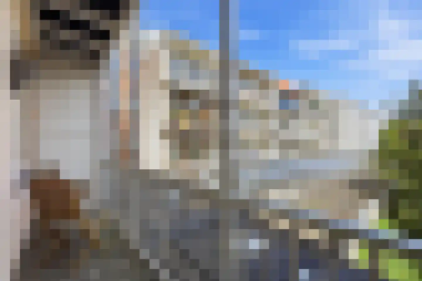Van Woustraat 117 1 Amsterdam thumbnail 4
