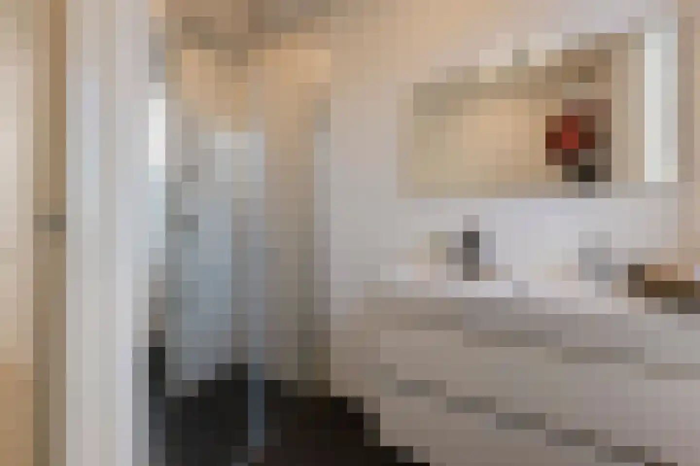 Van Woustraat 123 4 Amsterdam thumbnail 17