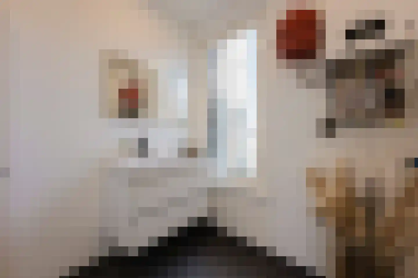 Van Woustraat 123 4 Amsterdam thumbnail 19