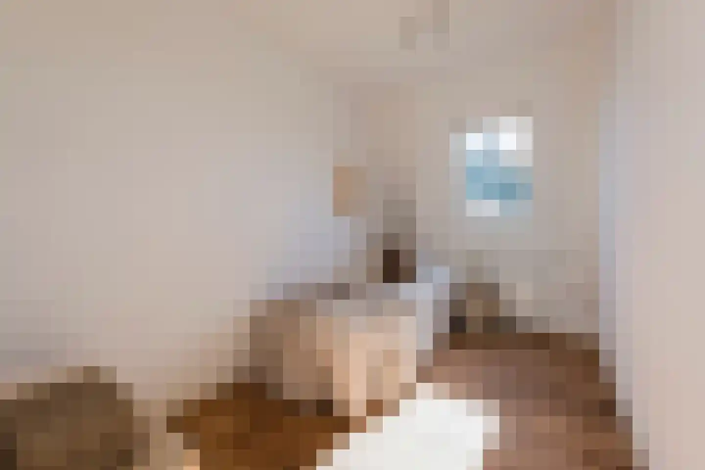 Van Woustraat 123 4 Amsterdam thumbnail 23
