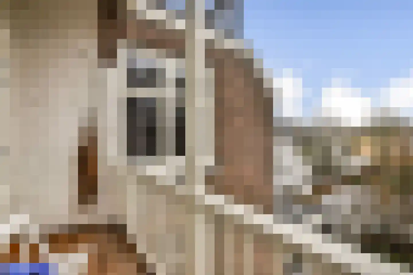 Van Woustraat 147 1 Amsterdam thumbnail 12