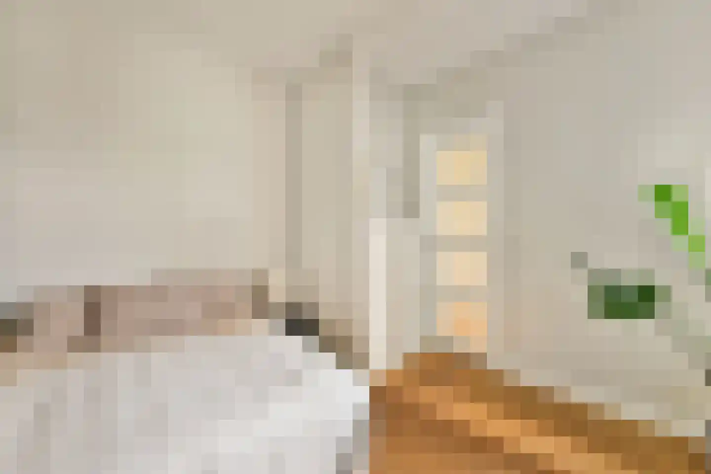 Van Woustraat 216 1 Amsterdam thumbnail 21