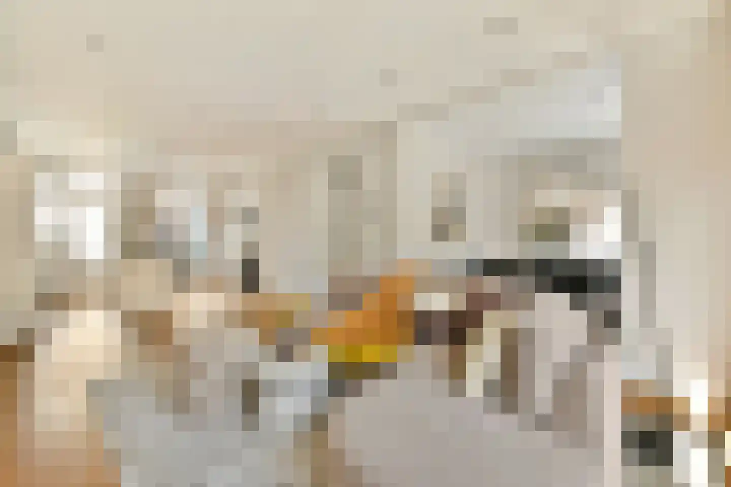 Van Woustraat 216 1 Amsterdam thumbnail 6