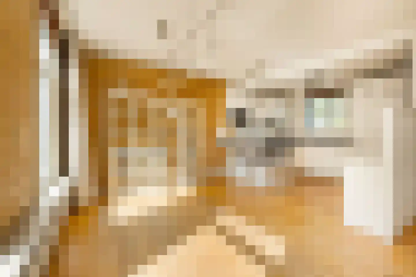Van Woustraat 22 1 Amsterdam thumbnail 6