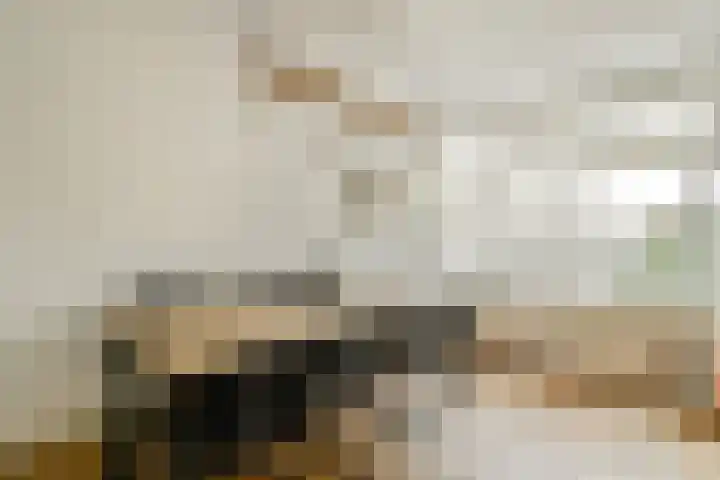 Van Woustraat 229 1 Amsterdam thumbnail 9