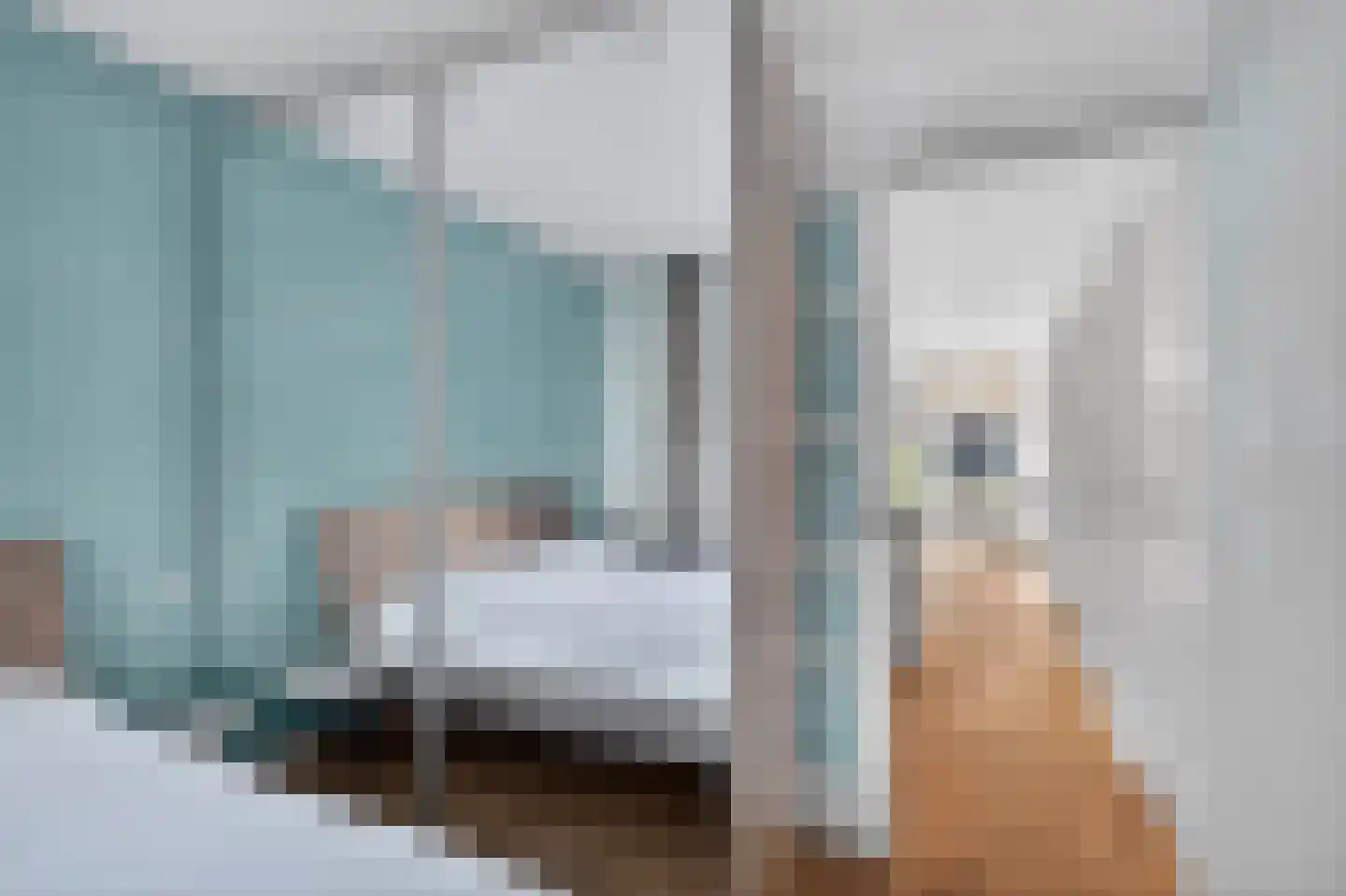 Van Woustraat 31 2 Amsterdam thumbnail 19