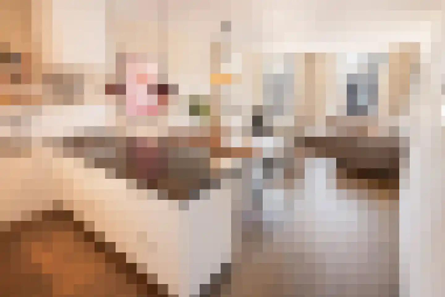 Van Woustraat 32 1 Amsterdam thumbnail 12