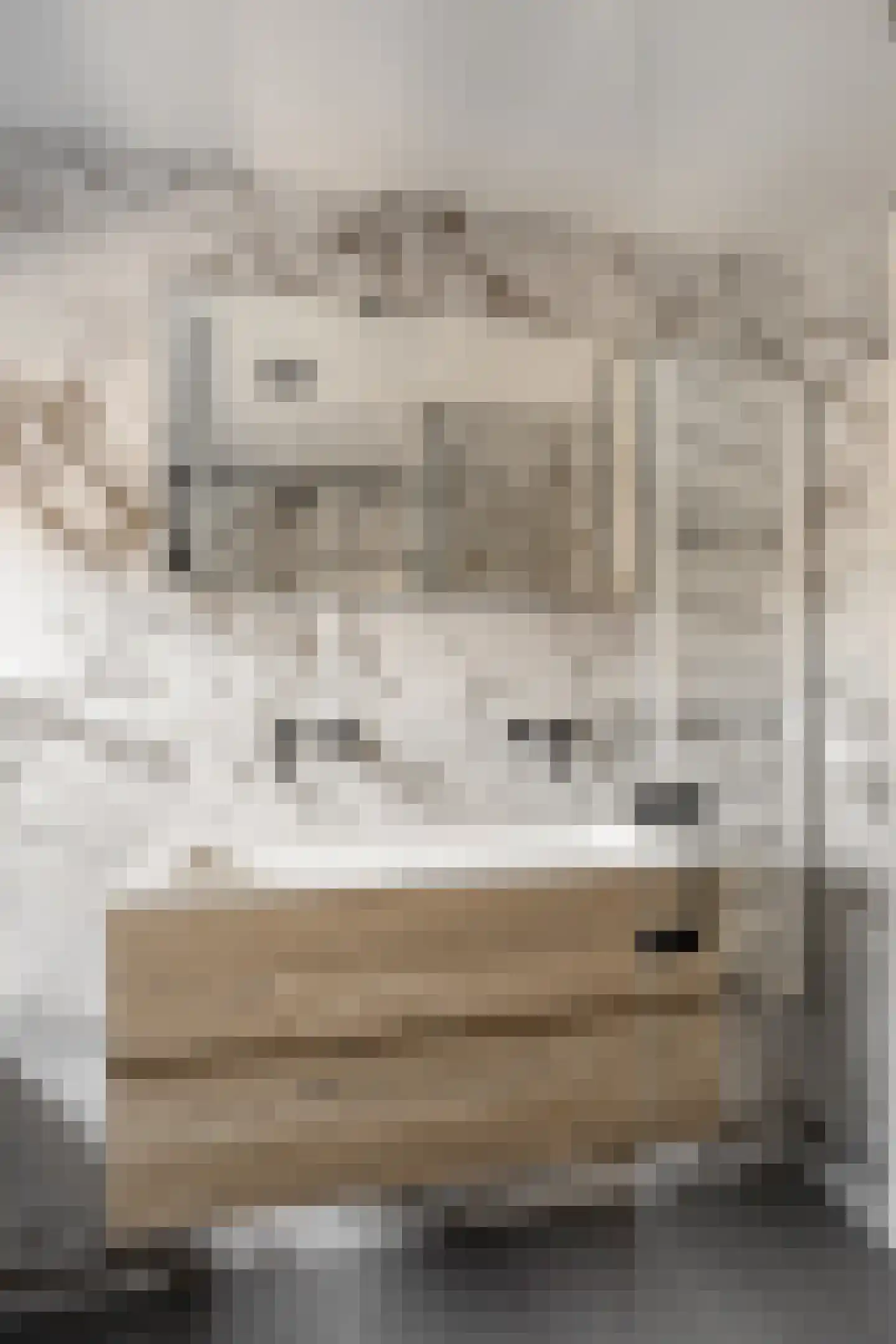 Van Woustraat 32 4 Amsterdam thumbnail 21