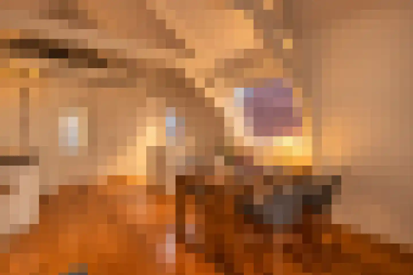 Van Woustraat 38 4 Amsterdam thumbnail 7