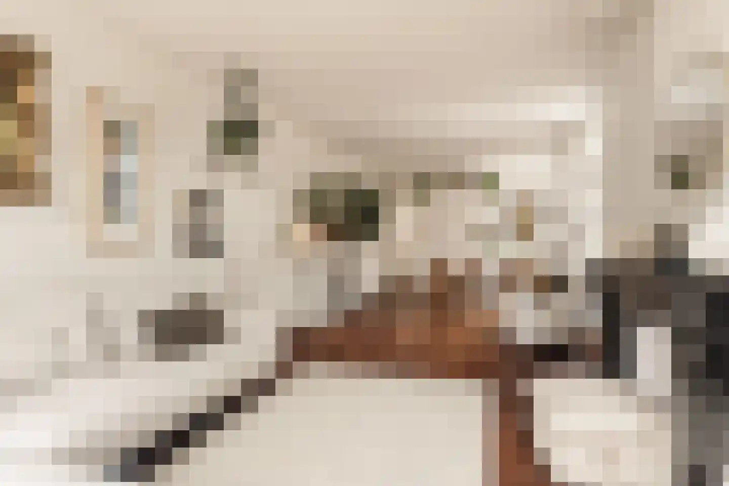 Van Woustraat 45 1 Amsterdam thumbnail 10