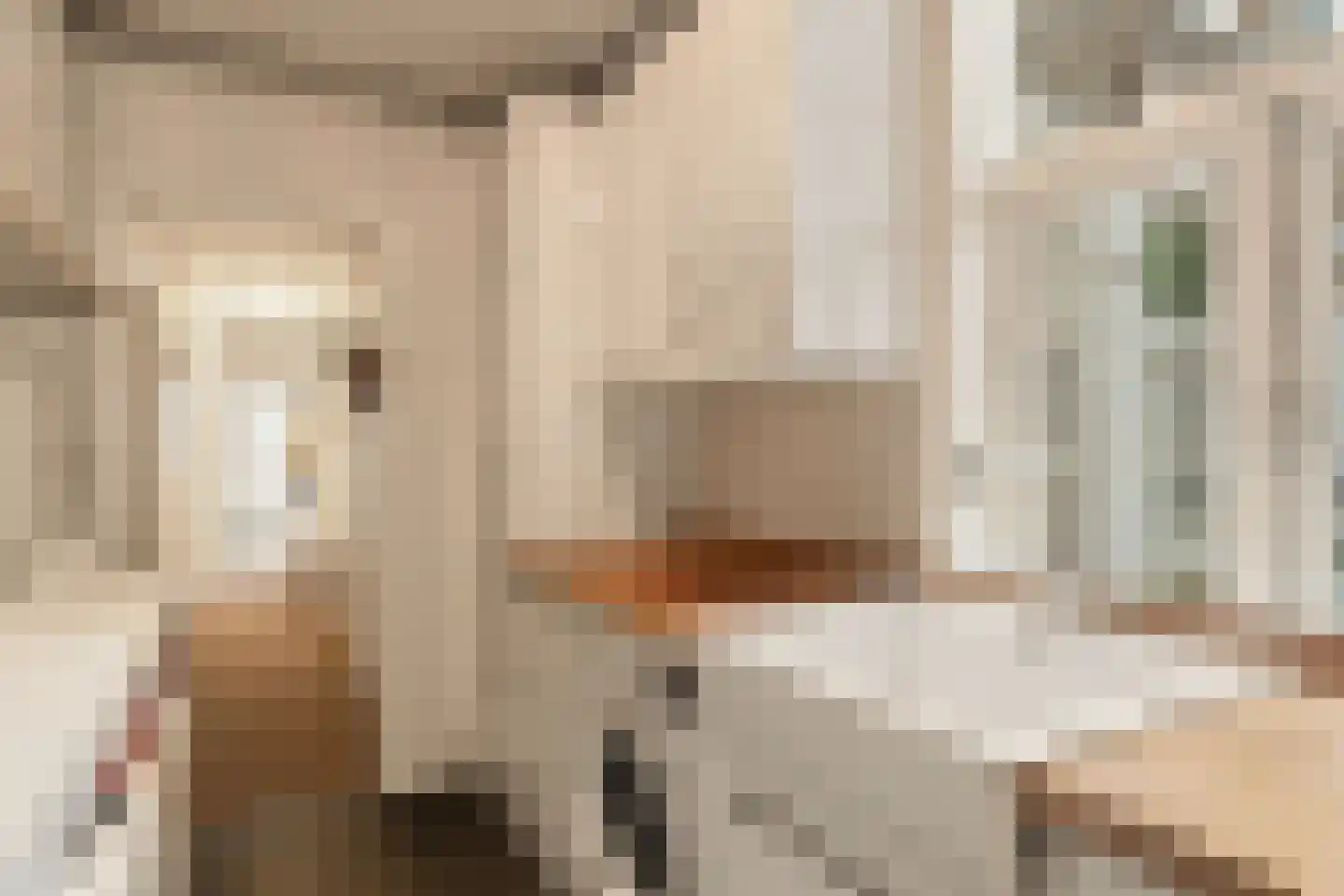 Van Woustraat 45 1 Amsterdam thumbnail 23