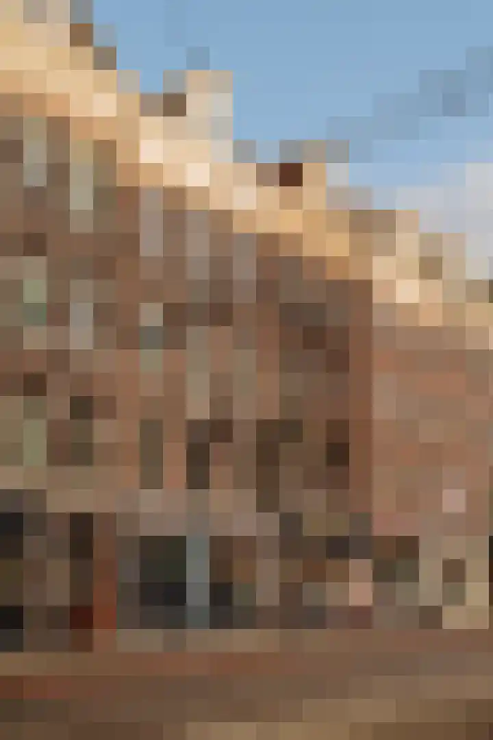 Van Woustraat 71 4 Amsterdam thumbnail 15