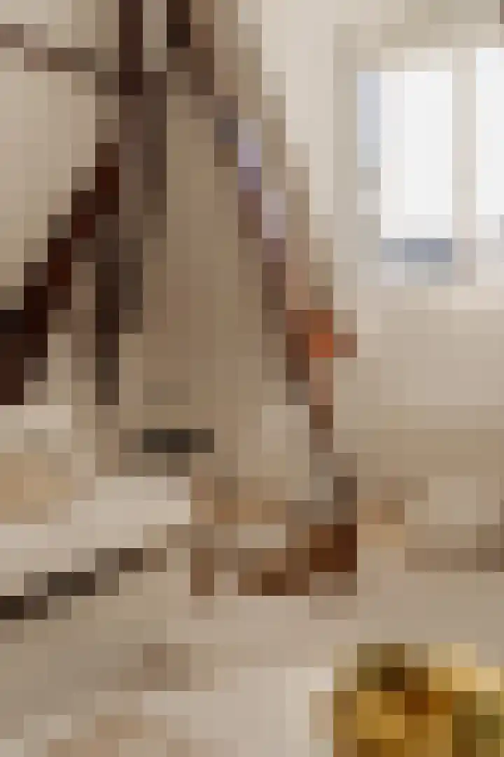 Van Woustraat 71 4 Amsterdam thumbnail 17