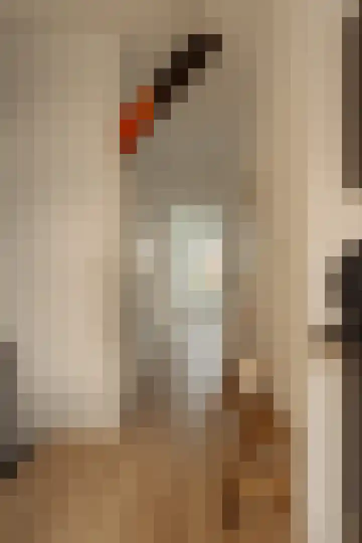 Van Woustraat 71 4 Amsterdam thumbnail 7