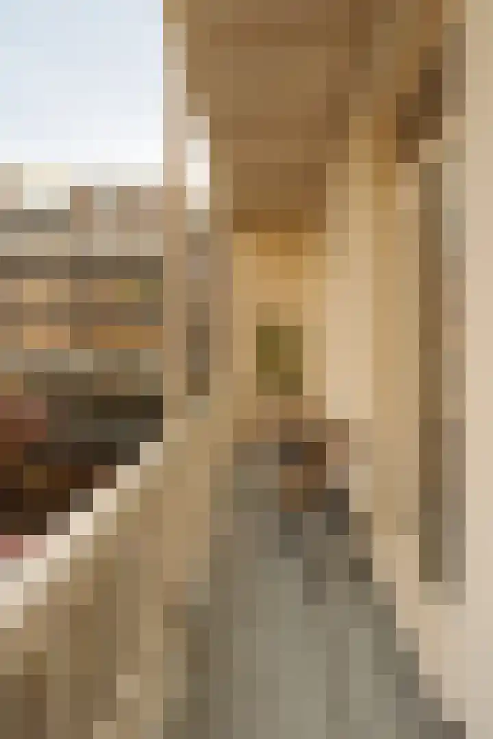 Van Woustraat 71 H Amsterdam thumbnail 5