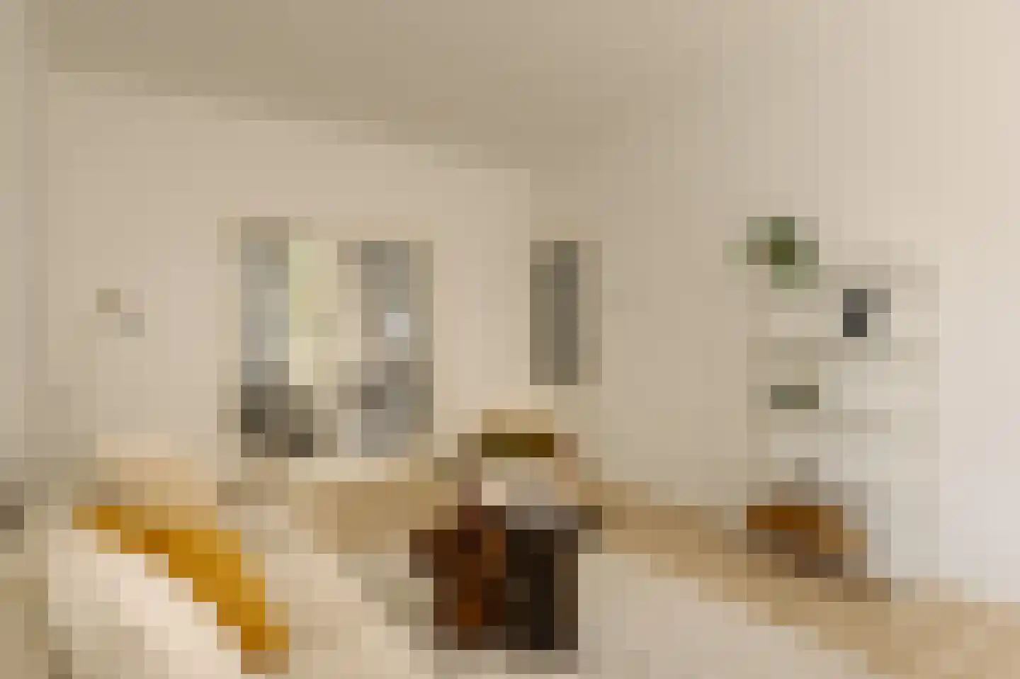 Van Woustraat 88 1 Amsterdam thumbnail 10
