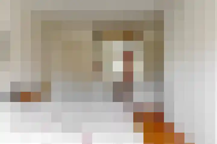 Van Wouwstraat 12 Den Haag thumbnail 13