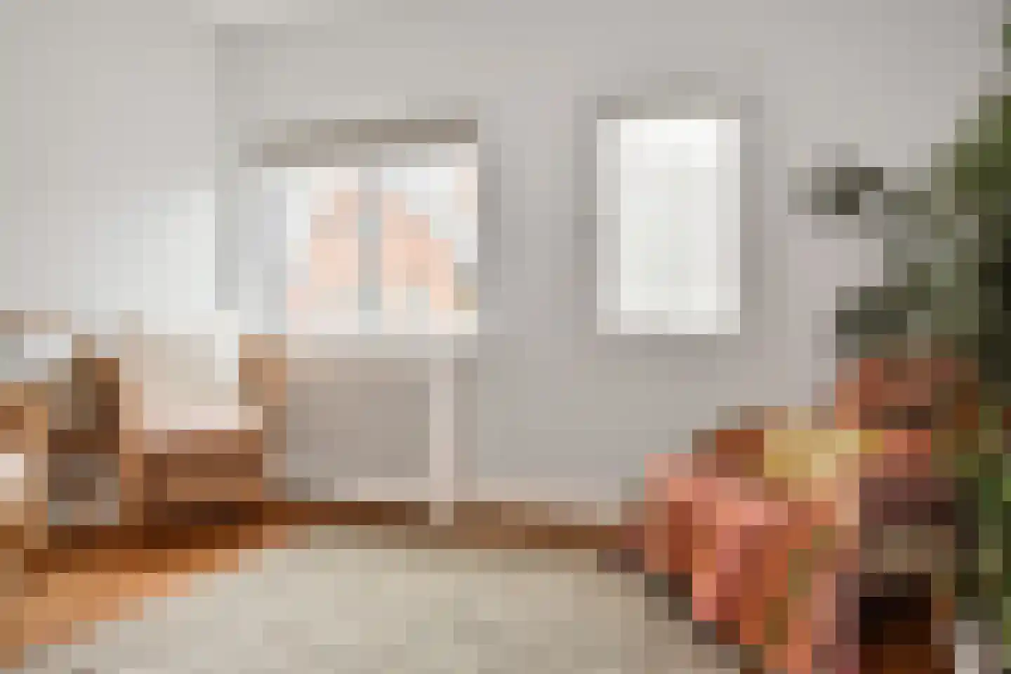 Van Wouwstraat 17 Den Haag thumbnail 19