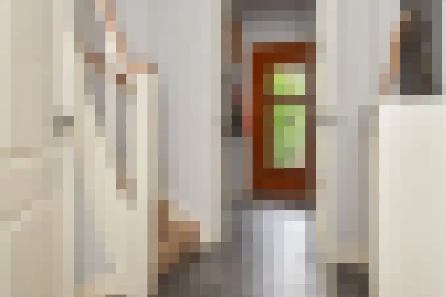 Van Wouwstraat 17 Den Haag thumbnail 6