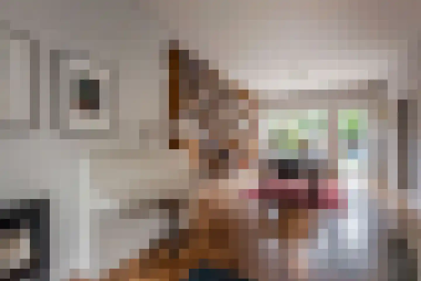 Van Wouwstraat 9 Den Haag thumbnail 4