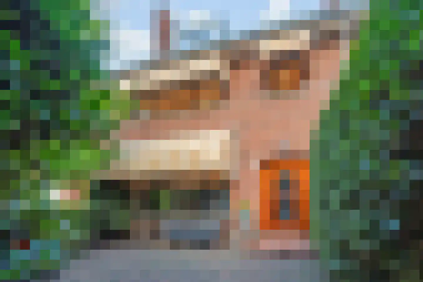 Van Wouwstraat 9 Den Haag thumbnail 4