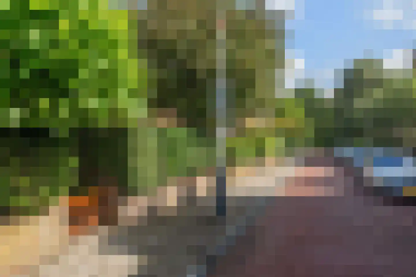 Van Wouwstraat 9 Den Haag thumbnail 40