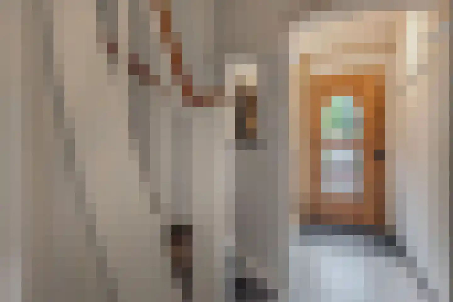 Van Wouwstraat 9 Den Haag thumbnail 8