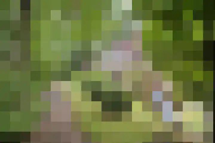 Van Wulfenlaan 10 a Laren thumbnail 14