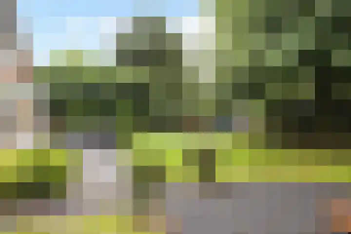 Van Wulfenlaan 10 a Laren thumbnail 15