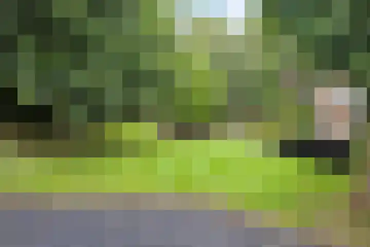 Van Wulfenlaan 10 a Laren thumbnail 18