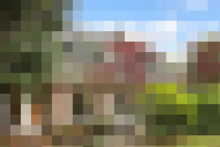 Van Wulfenlaan 10 a Laren thumbnail 19