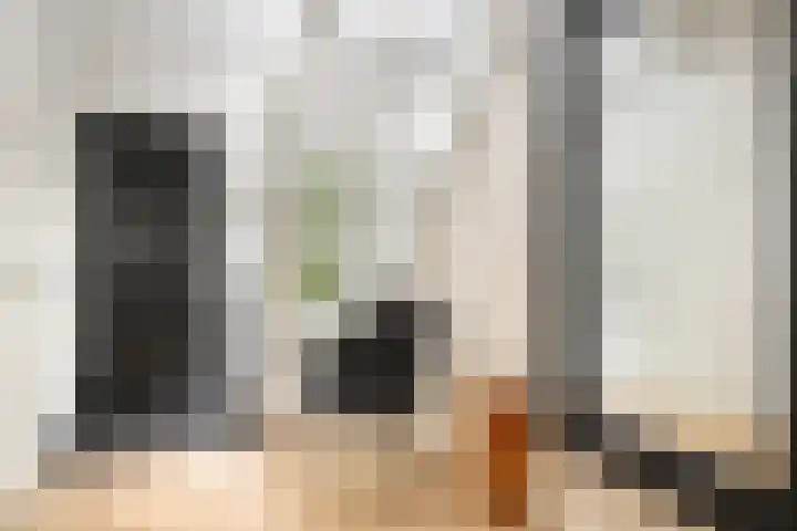 Van Wulfenlaan 10 a Laren thumbnail 20