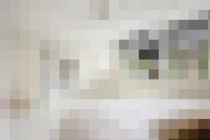 Van Wulfenlaan 10 a Laren thumbnail 23