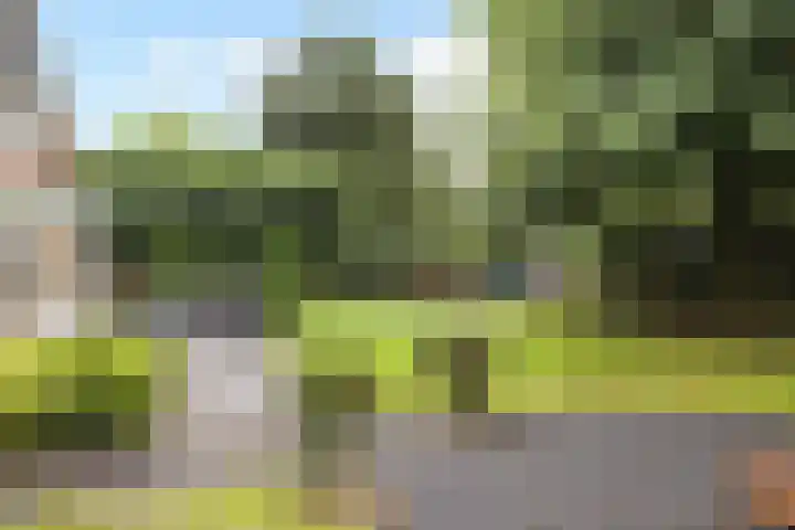 Van Wulfenlaan 10 a Laren thumbnail 30