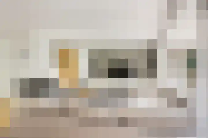 Van Wulfenlaan 10 a Laren thumbnail 5