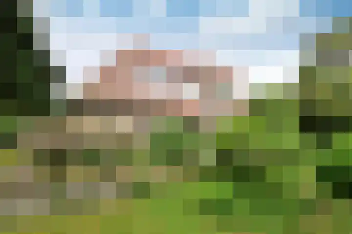 Van Wulfenlaan 23 Laren thumbnail 10