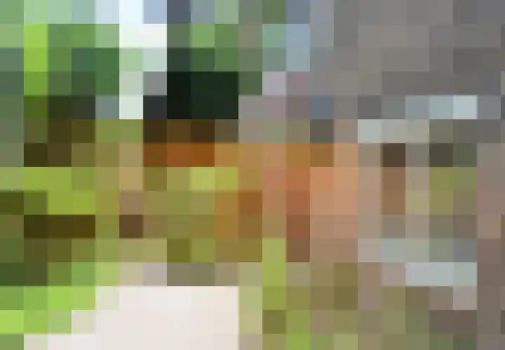 Van Wulfenlaan 23 Laren thumbnail 21