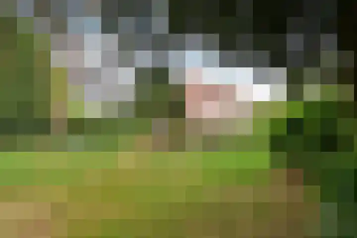Van Wulfenlaan 23 Laren thumbnail 22