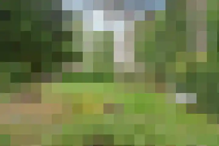 Van Wulfenlaan 23 Laren thumbnail 23