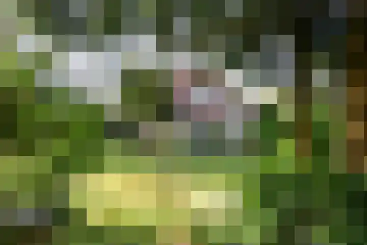 Van Wulfenlaan 23 Laren thumbnail 24