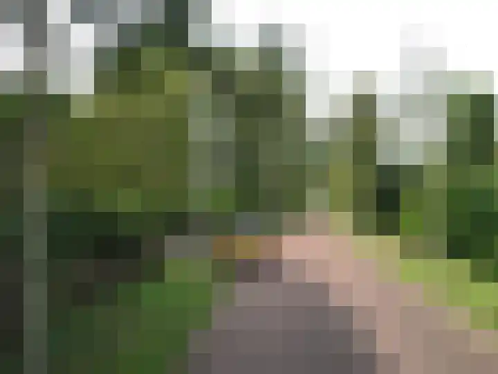 Van Wulfenlaan 23 Laren thumbnail 25
