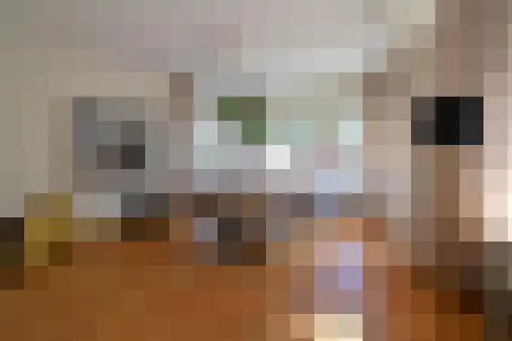 Van Wulfenlaan 23 Laren thumbnail 6