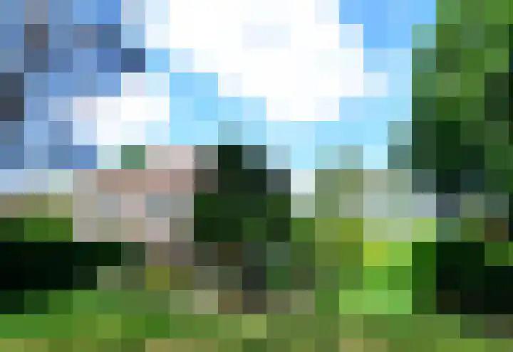 Van Wulfenlaan 23 Laren thumbnail 9