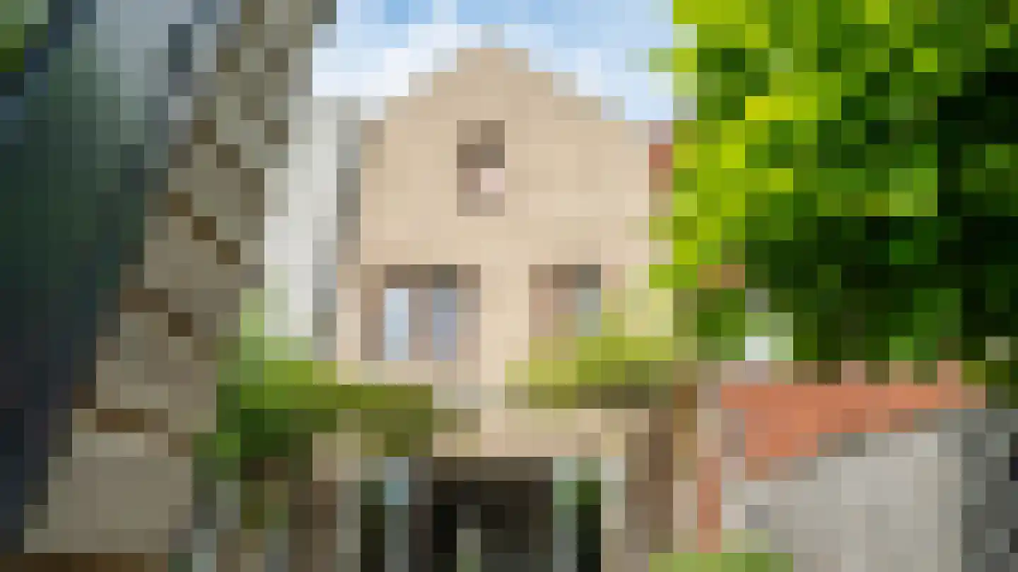 Van Wulfften Palthestraat 28 Almelo thumbnail 36