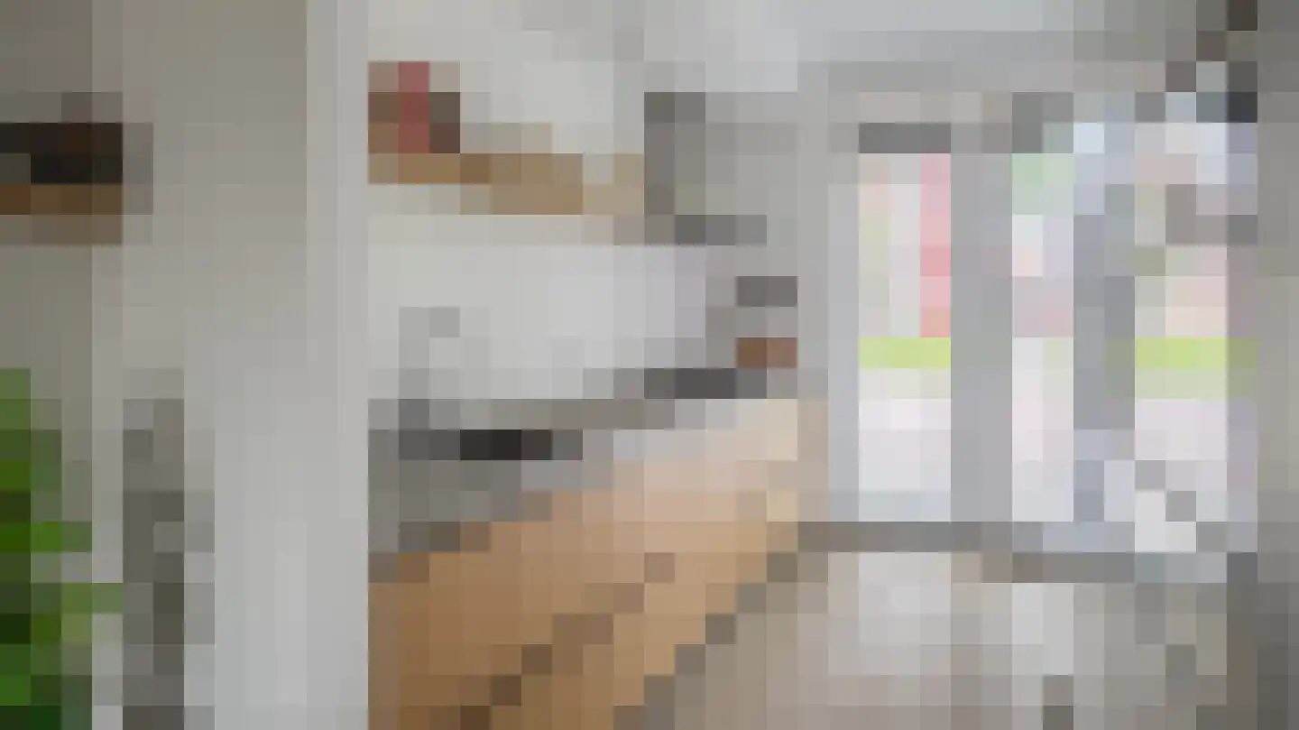 Van Wulfften Palthestraat 28 Almelo thumbnail 8