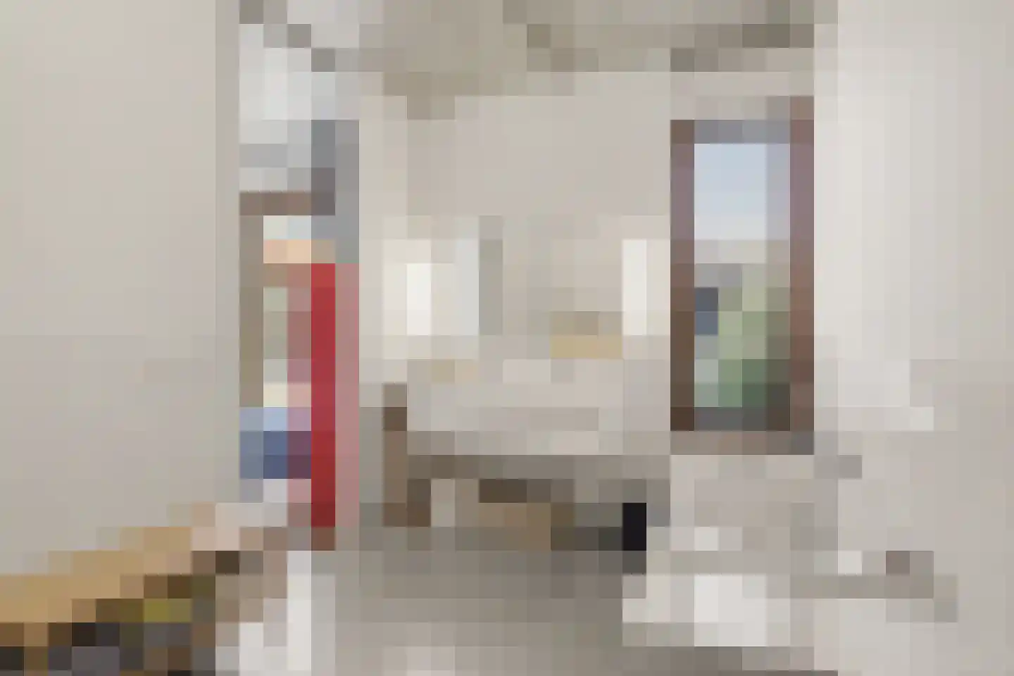 Van Wulfften Palthestraat 29 Almelo thumbnail 23