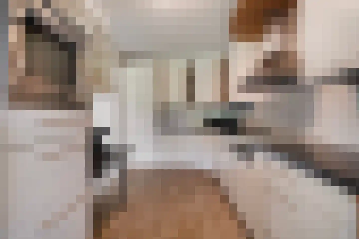 van Wyckelstrjitte 18 Stiens thumbnail 12
