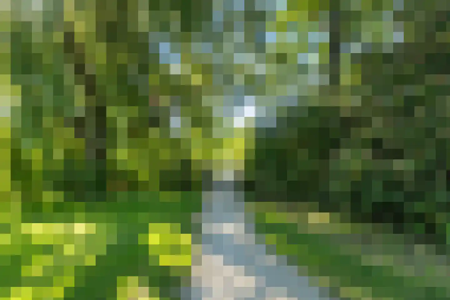van Wyckelstrjitte 18 Stiens thumbnail 34