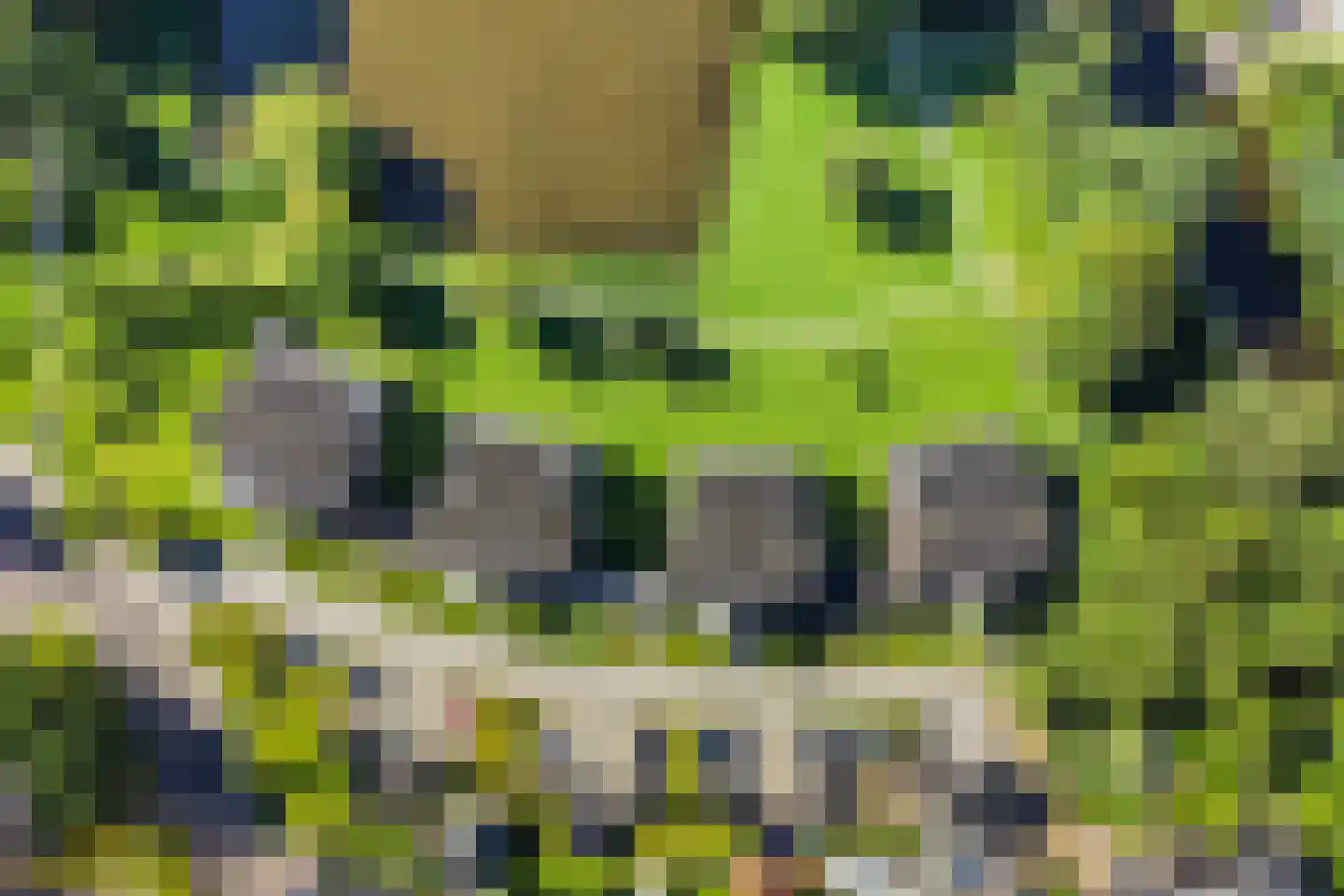 van Wyckelstrjitte 18 Stiens thumbnail 36