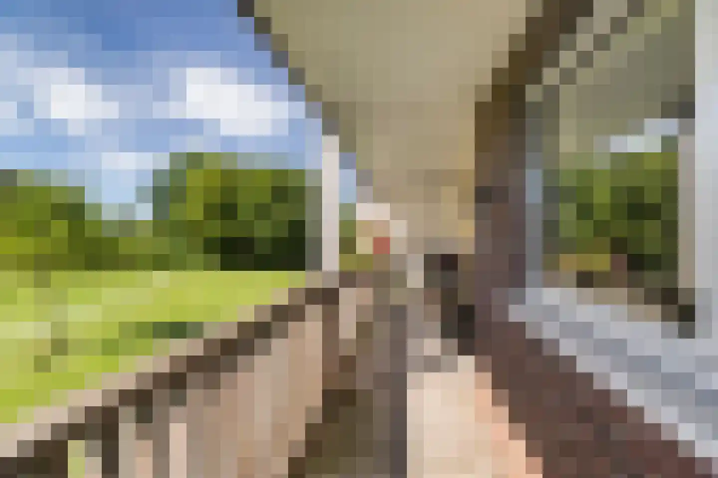 van Wyckelstrjitte 18 Stiens thumbnail 9